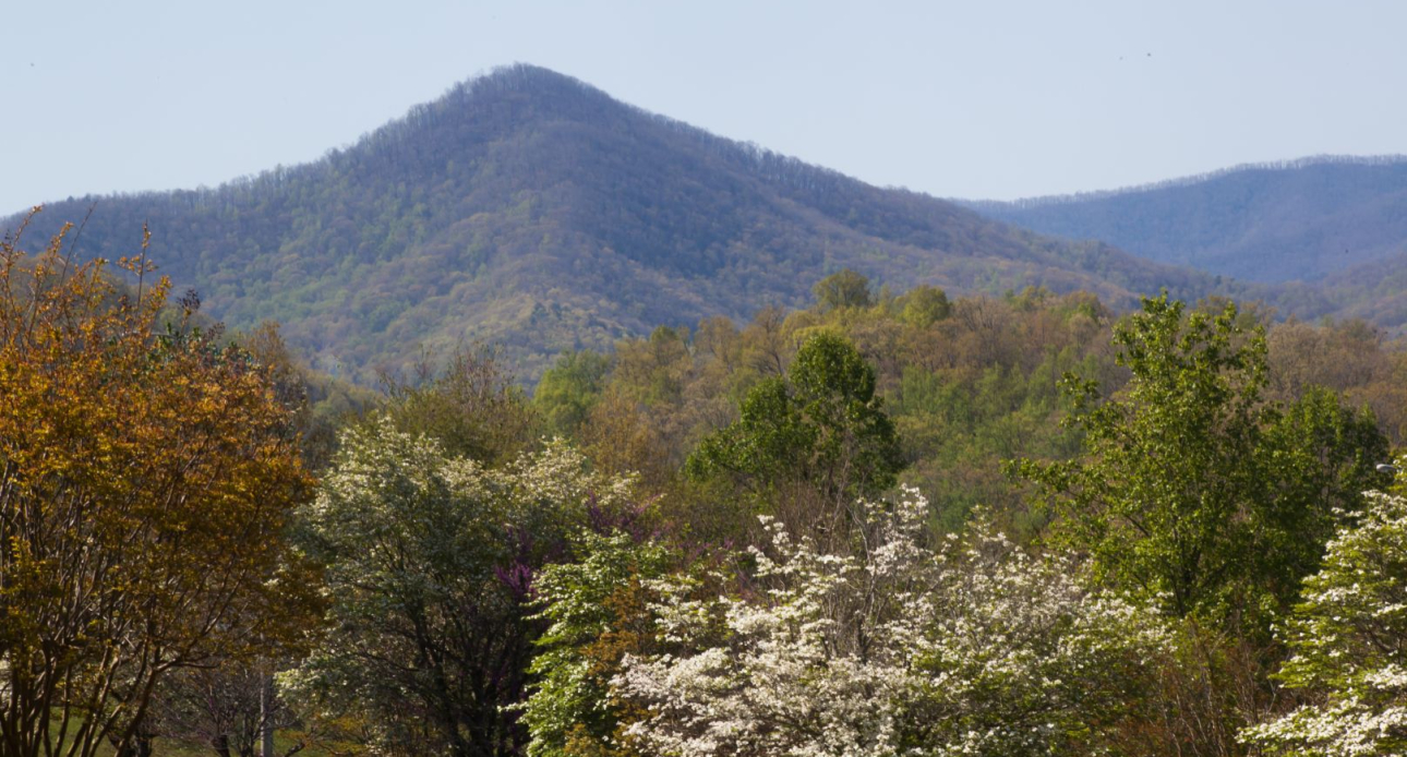 Local Favorites: Hidden Gems Around Moultonborough
